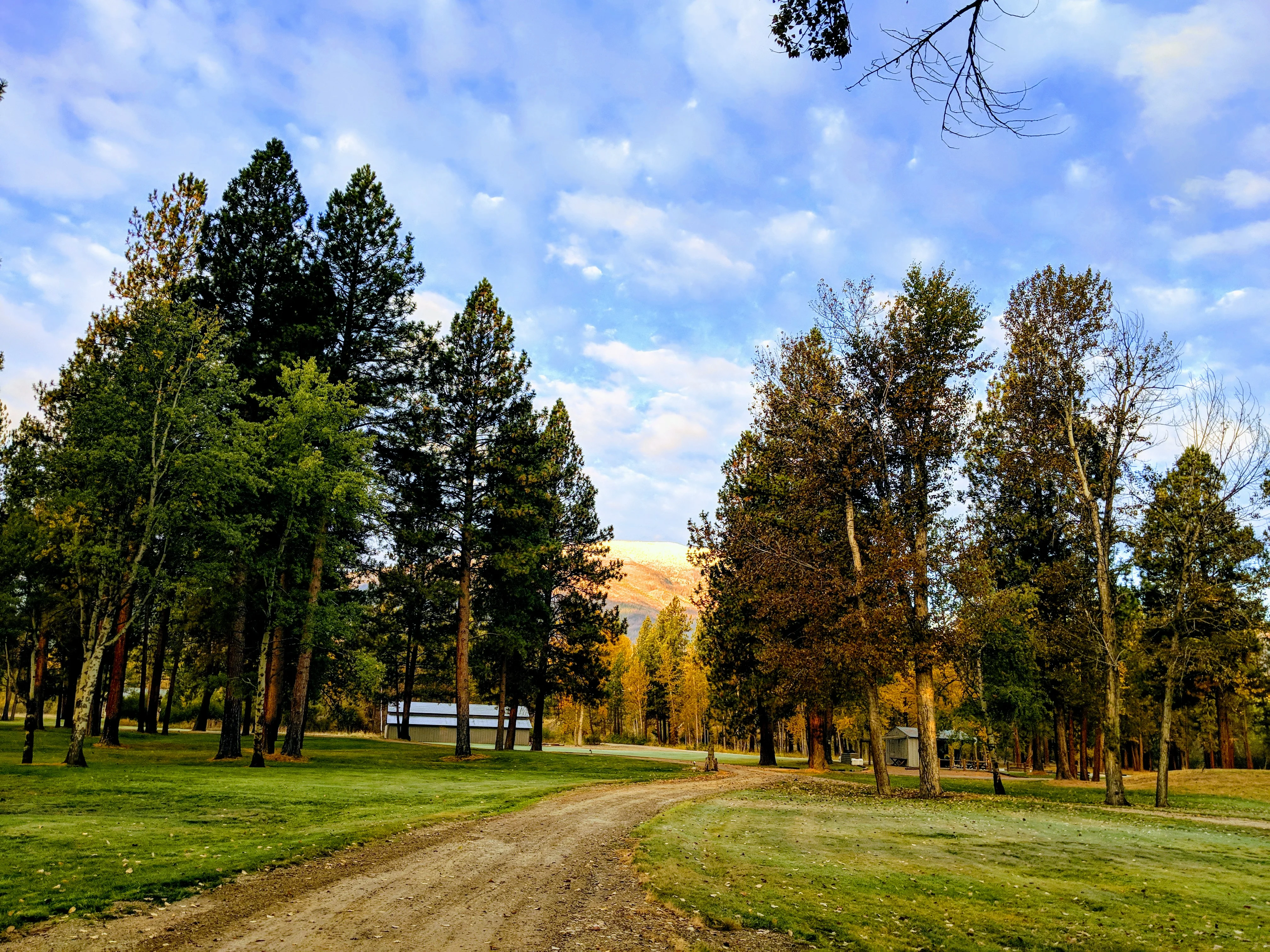 Conservation - A Challenging Topic