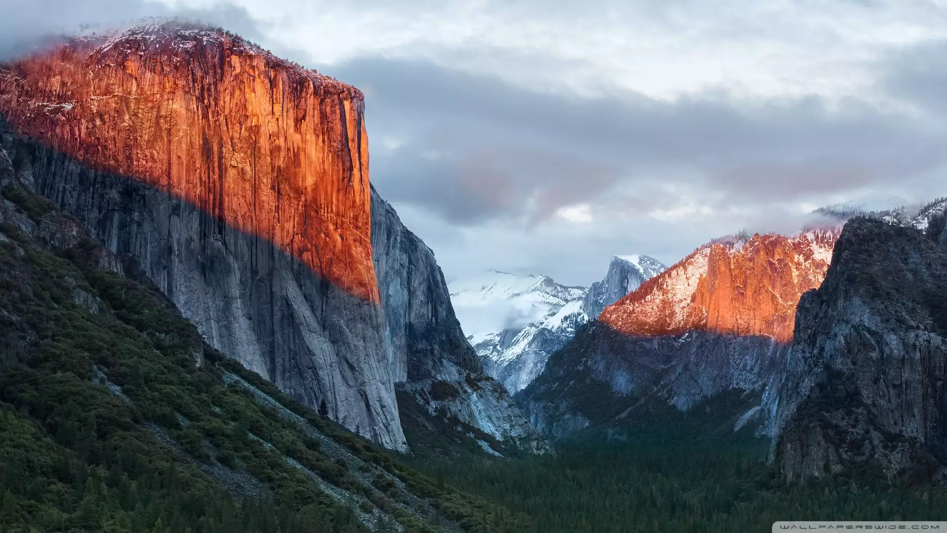 Camera Fix for El Capitan